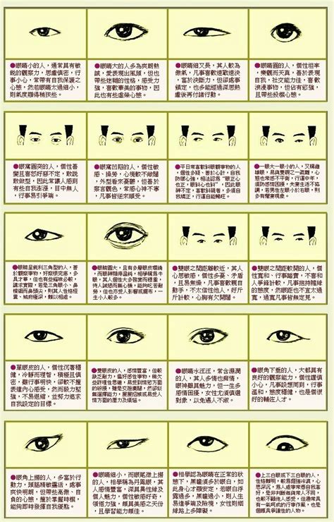 面相 眼型|面相看眼睛教学：决定人生运势的眼型 （上篇）